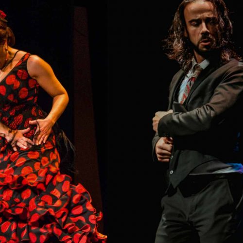 flamenco en tarifa