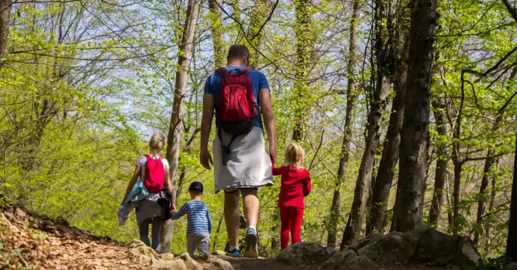Sendero del Parque Natural del Estrecho durante el invierno